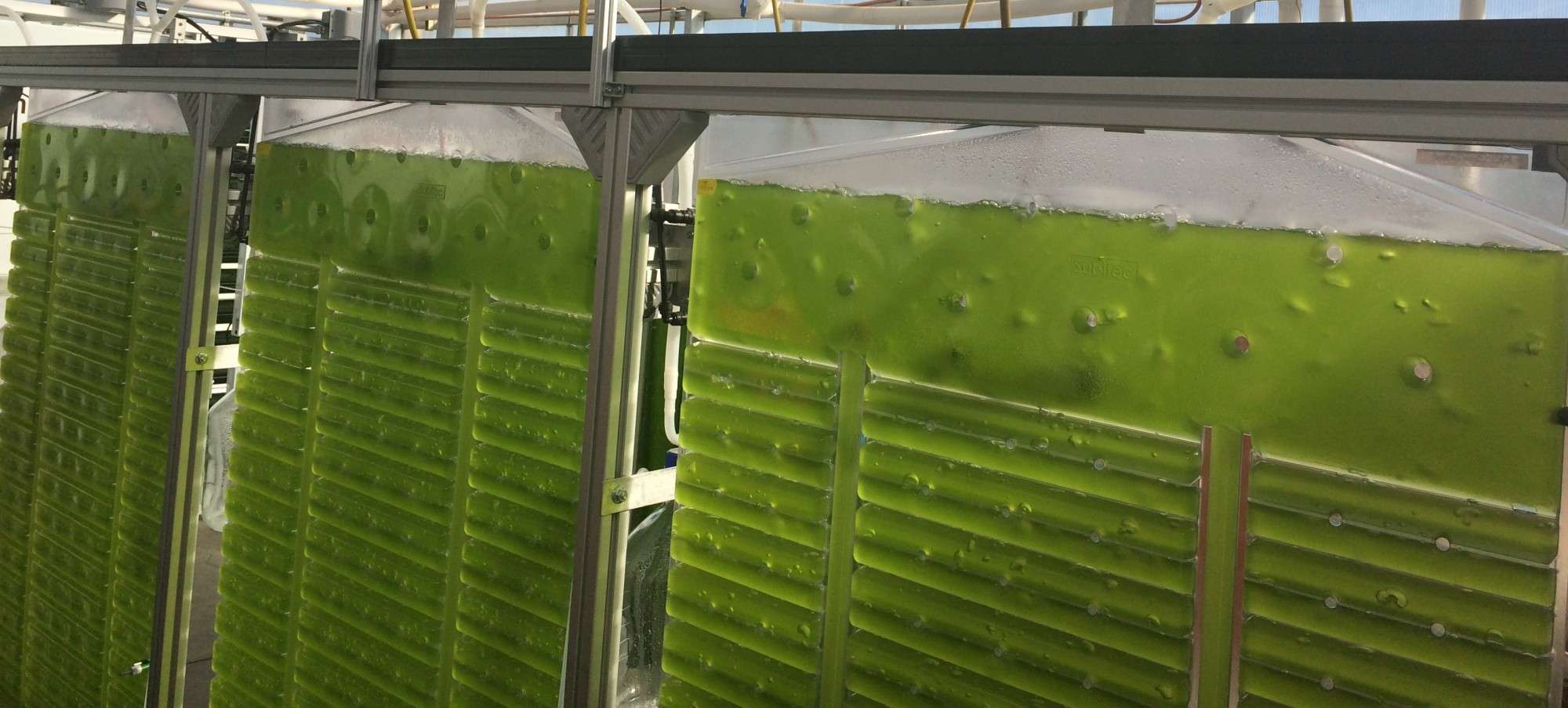 Flat Panel Photobioreactor