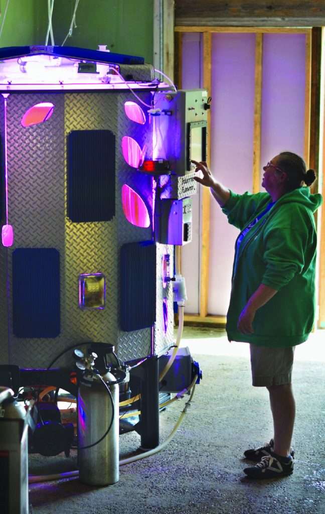 Internally lit photobioreactor